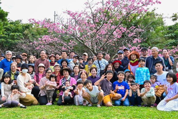 桜に集い地域住民親睦　浦添安波茶・あじさい公園