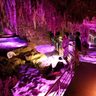 玉泉洞　ピンク色に染まる　バレンタインライトアップ　沖縄