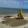死んだザトウクジラ、砂浜に埋める　腐敗臭漂い「カラスがつつき悲しかった」　国頭・沖縄