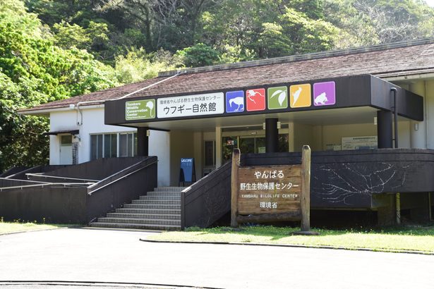 野生生物センター改修　国頭　５月閉館、来夏以降に開館