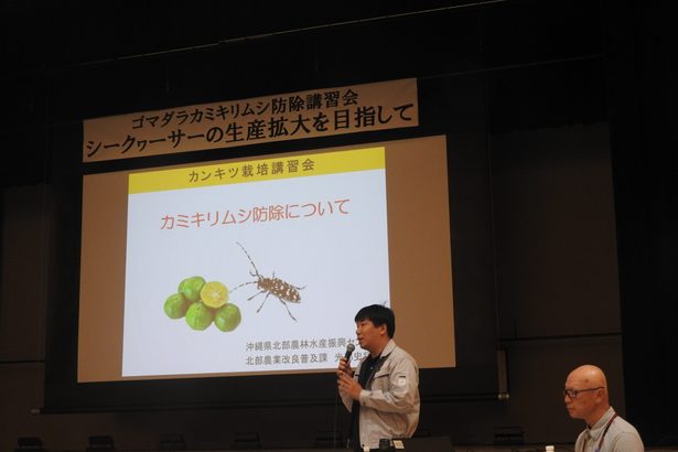 かんきつ作物の被害減らそう　本部　カミキリムシ防除で講習会