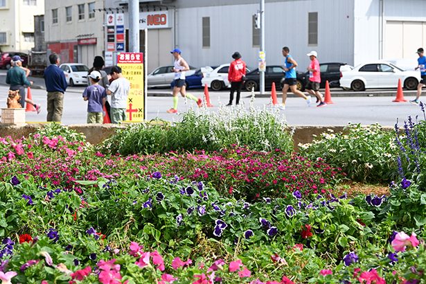 多彩な花々でランナー応援　うるま市川崎自治会 ＜第29回2024おきなわマラソン＞
