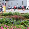 多彩な花々でランナー応援　うるま市川崎自治会 ＜第29回2024おきなわマラソン＞