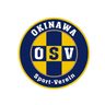 沖縄SV、引き分け　三重に3－3　サッカーJFL【31日の試合】
