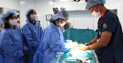 高校生、手術も模擬体験「人体のすごさ感じた」　医師、看護師などに挑戦　浦添総合病院　沖縄