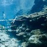 宮古島の自然　映像でPR　資源保護へ観光協会　沖縄