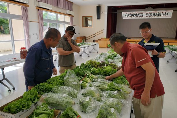 多良間で農産品評会　保育園で育てた野菜販売も