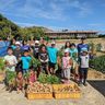 島の野菜の収穫楽しむ　渡名喜村学力推進協