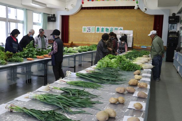 丹精込めた野菜出品　名護・瀬嵩、農産物品評会