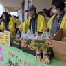 島ラッキョウをＰＲ　伊江で試食・販売会