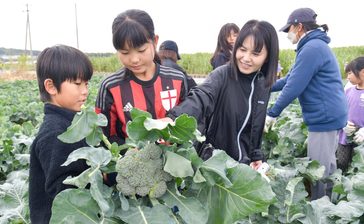 野菜たっぷり体験　沖縄・糸満　親子収穫ツアー楽しむ　