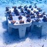 泡盛の蒸留かすで「魚礁」を製造　沖坤（名護）　漁場づくりやサンゴ増殖に期待　沖縄