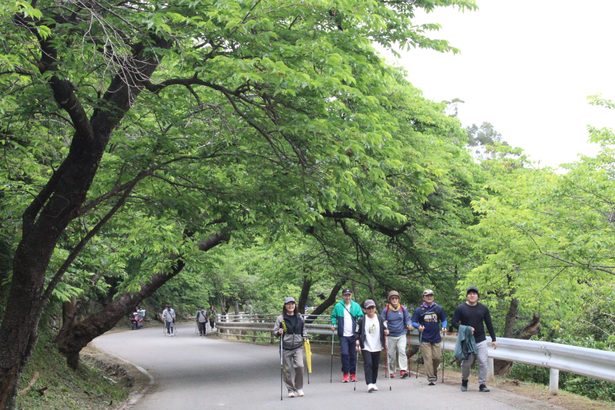 八重岳一帯、新緑もえる　31日までまつり　沖縄・本部町
