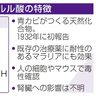 マラリアに効果も毒性あり　紅麹　青カビ生性のプベルル酸