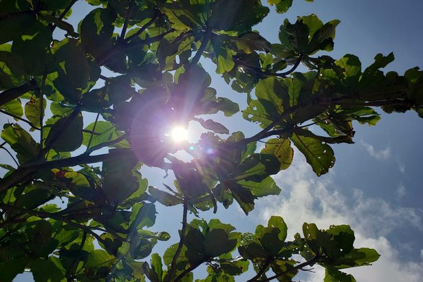 沖縄、4月の観測史上で最高気温　うるまで29度、宮古島で30度　4地点で観測　27日