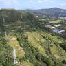 表面化4カ月で「頓挫」　うるま陸自訓練場の計画　広がった「反対」決議　沖縄