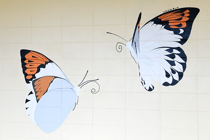 ツマベニチョウはオス（左）とメスが描かれています