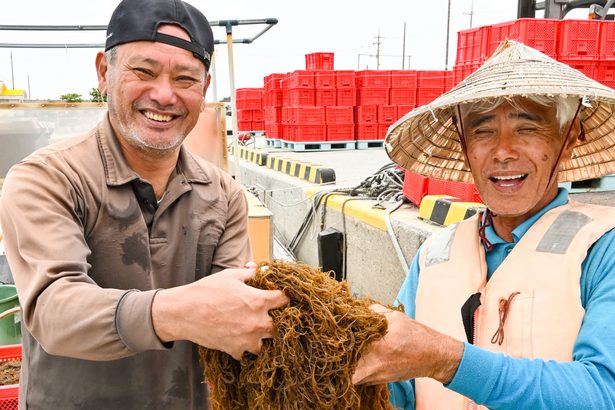 旬が来た！「どこにも負けないモズク」　収穫の最盛期、海人たちが奮闘【どローカルリポート】沖縄