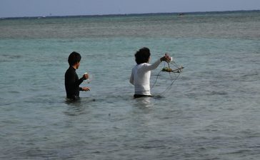 「害虫が島に入って来ないよう」　多良間で「虫舟」沈め豊作祈願　沖縄