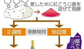 紅麹菌、発酵期間４倍　小林製薬　サプリ向け難度高く