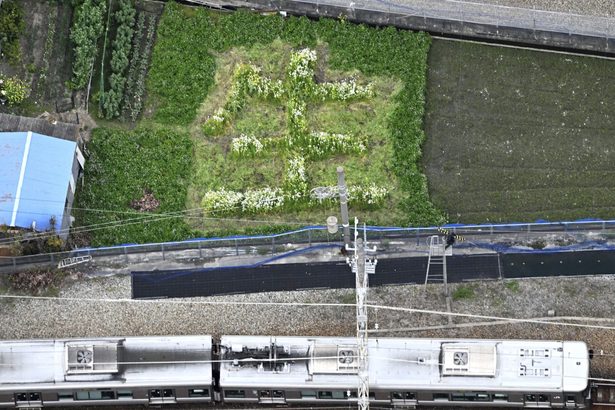 現場近くの畑に「生」の花文字　尼崎、ＪＲ脱線１９年