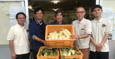 甘い白トウモロコシ　餌に　中城・松島農園　こどもの国に１５０キロ贈る