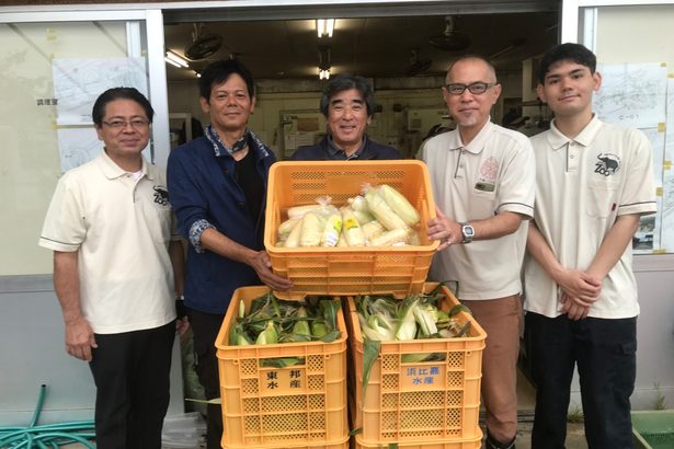 甘い白トウモロコシ　餌に　中城・松島農園　こどもの国に１５０キロ贈る