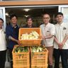 甘い白トウモロコシ　餌に　中城・松島農園　こどもの国に１５０キロ贈る