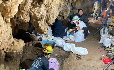 沖縄での人類活動の“起源”、追究へ　県内最古級の遺跡「普天満宮洞穴」から火の跡　