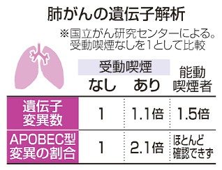 受動喫煙肺がん　特有変異　喫煙者と遺伝子異なる