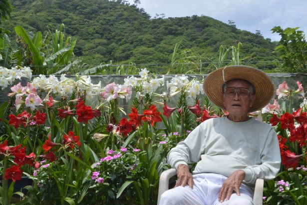 ユリとアマリリスが咲き誇る　大宜味の平良さん宅に花見客　沖縄