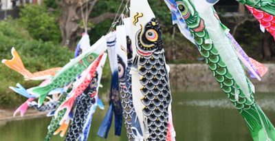 こいのぼり130匹舞う「首里鯉のぼり祭り」　27日に開会式とアトラクション　掲揚は6月まで