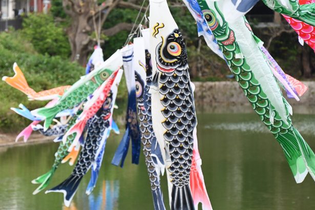 こいのぼり130匹舞う「首里鯉のぼり祭り」　27日に開会式とアトラクション　掲揚は6月まで
