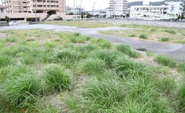 名護市の旧消防庁舎跡地の売買めぐる訴訟　市民側が取り下げを表明　沖縄