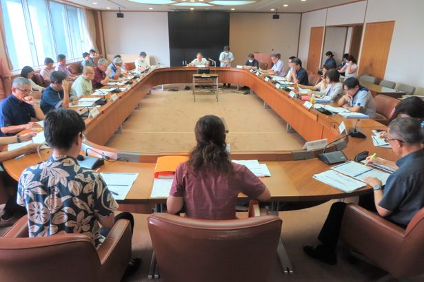 「県こども計画」策定へ初会合　骨子案を承認　全庁上げて取り組む　沖縄