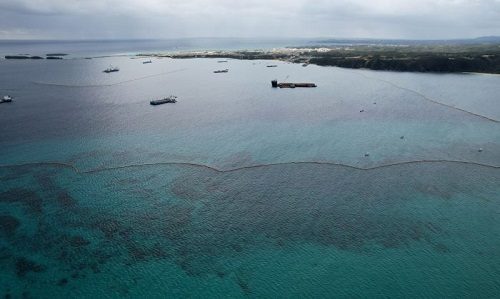 辺野古のサンゴ採捕、承認の方向で調整　県、週明けに最終判断　沖縄
