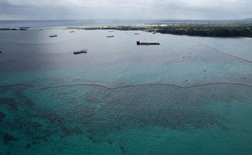 辺野古のサンゴ採捕、承認の方向で調整　県、週明けに最終判断　沖縄