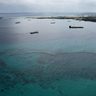 県、週明け最終判断　サンゴ採捕　承認の方向で調整