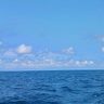 「うつぶせで浮いている」と通報　家族に「釣り」と外出、70代男性死亡　糸満・喜屋武の漁港　沖縄