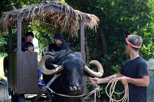 【写真特集】水牛車散策に紅型体験…GW後半、沖縄各地で笑顔いっぱい