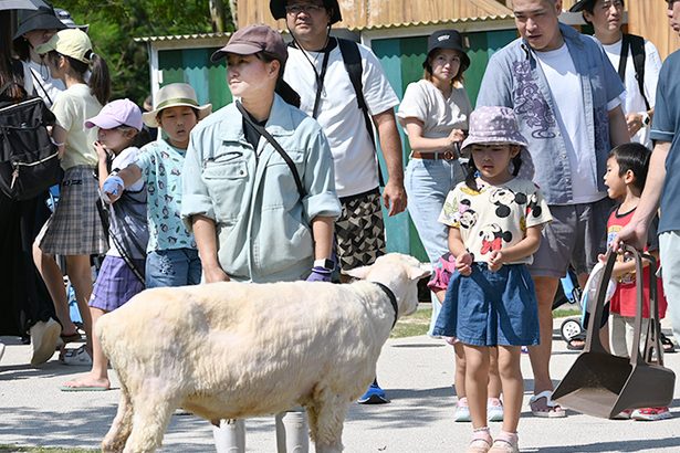 動物たちに興味津々　ヤギや馬と子どもたちがパレード　5年ぶり、沖縄こどもの国　　