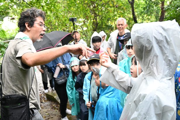 「この生き物はなぁに？」　南風原で自然体験イベント