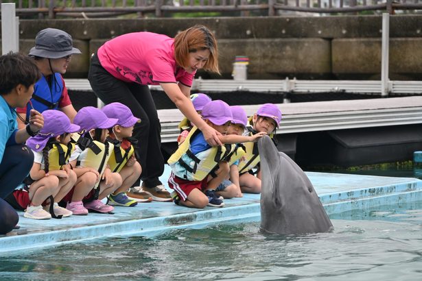 イルカさんツルツル　もとぶ元気村、園児ら招く