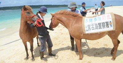 水難事故の防止、ウマくPR　「東洋一きれい」なビーチを馬と巡回　宮古島署　沖縄