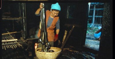沖縄・久高島のイラブー漁「文化共有を」　記録映画、都内で上映