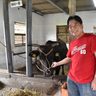 「牛に時間も退職金もつぎ込んで」夢は闘牛資料館！　うるまの佐次田さん　沖縄
