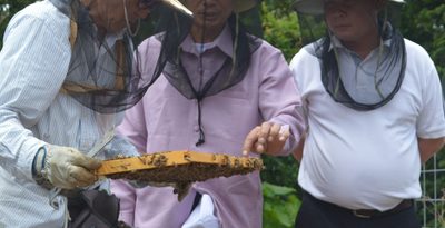 養蜂の技術、ラオスへ　現地の生産者ら大宜味を訪問　生産や加工を学ぶ　沖縄　