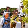 チョウ類２０種観察、解説　浦添大公園で初夏の観察会