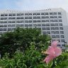 沖縄のコロナ禍観光補助金、不正疑い「少なくとも100件」　県採択事業の4割が不交付　