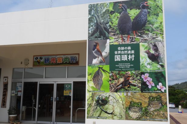 ヤンバルクイナがお出迎え　沖縄を代表する希少動植物の巨大看板設置　道の駅国頭